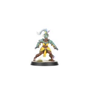 Amazon Blood Bowl Team: Kara Temple Harpies
