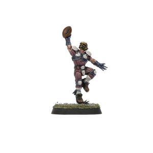 Old World Alliance Blood Bowl Team – The Middenheim Maulers