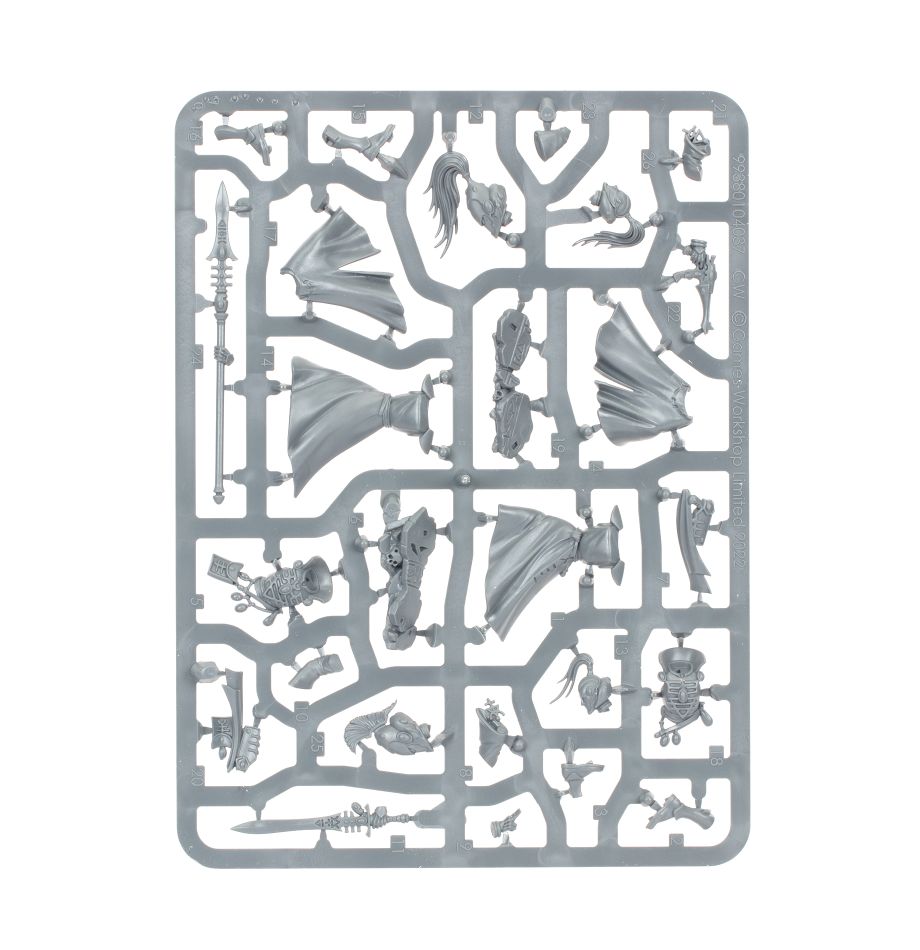 99120104066_AELWarlocksSprue01