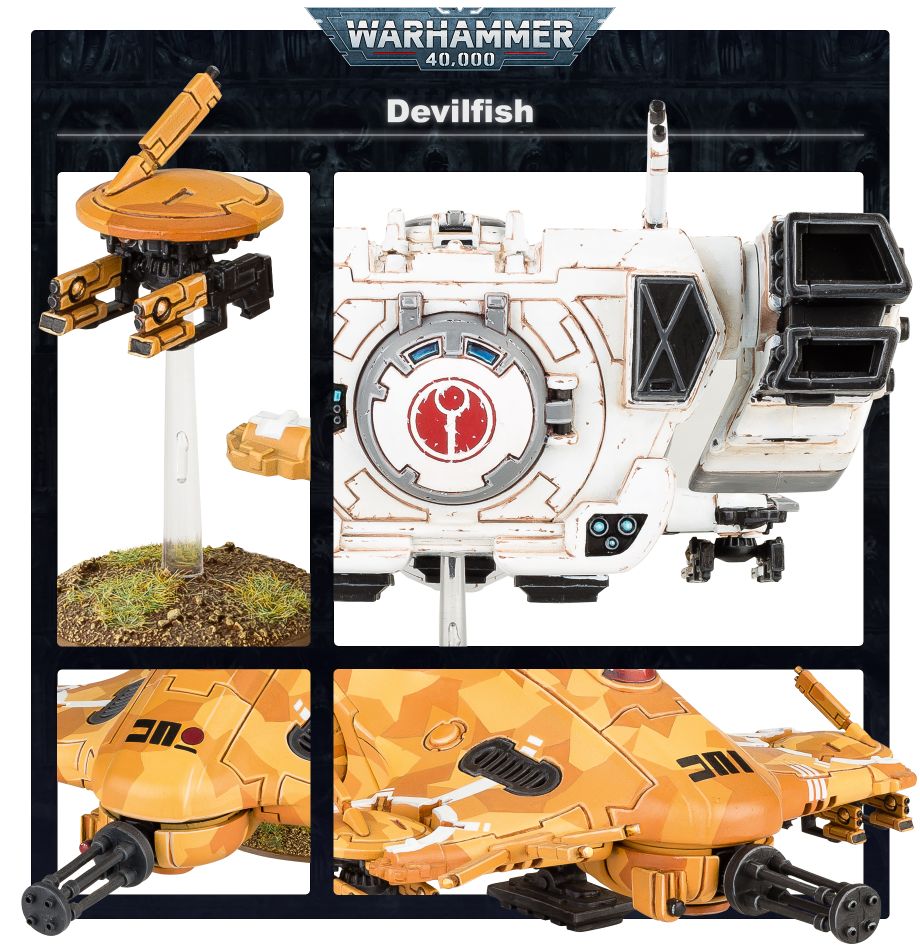 99120113074_TAUDevilfishFeature