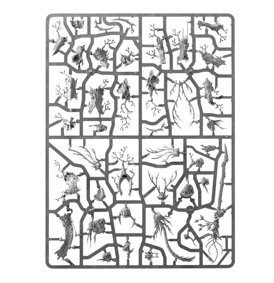 99120204013_SylvanethDurthu04