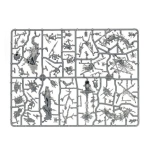 Webspinner Shaman on Arachnarok Spider