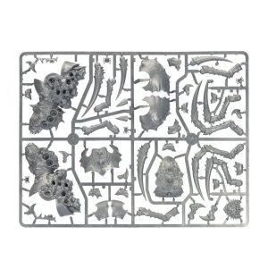 Webspinner Shaman on Arachnarok Spider