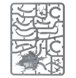 The Contorted Epitome