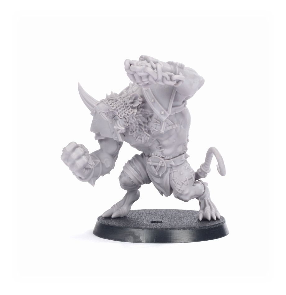 99850906004_RatOgreGroup